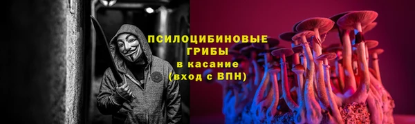 дмт Липки